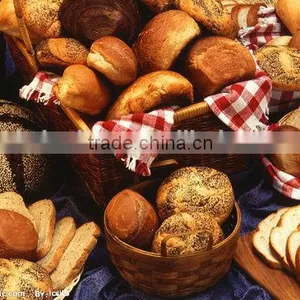 Hot Sale Factory Supply Dry Barley Malt Extract Powder for Baking Food thumbnail-3