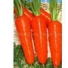 Beta-carotene thumbnail-1