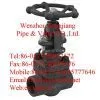 Forged Steel Gate Valve thumbnail-1