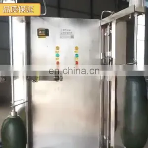 Food Grade Fruit Vegetable Peeling Machine thumbnail-1