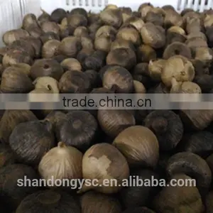 Good Quality Black Garlic thumbnail-4