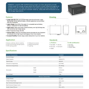 4U Rack-mount LiFePO4 Battery Module thumbnail-1