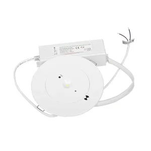 LED Emergency Downlight 3 Watts 180 Minutes Made In China thumbnail-5