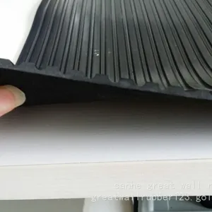 Rib thumbnail-3