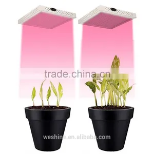 Factory Price Hot Selling Hydroponics 20W Led Grow Lights for Plants Growth thumbnail-5