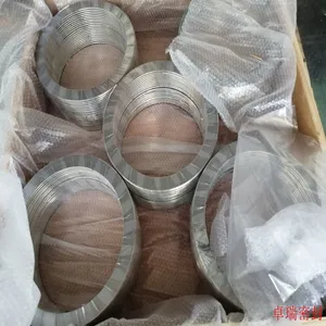 Spiral Wound Gasket With Outer Ring 304ss thumbnail-3