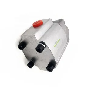CBQZ Automobile Tailboard Pressure Pump CBQZ-2.5F Power Unit Oil Pump Tailboard Gear Pump thumbnail-6