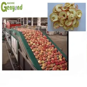 Core Components PLC Gear Pump Motor-Fruit and Vegetable Chips Making Machine thumbnail-4