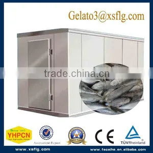 Fish,meat Refrigerator Storage Cold Room Freezer thumbnail-1