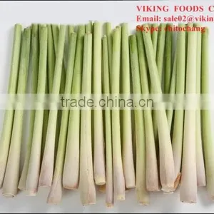 HOT PRODUCT 2016 FROZEN LEMONGRASS - HIGH QUALITY FROM VIETNAM thumbnail-3