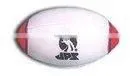 Rugby Ball thumbnail-1