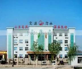 Weifang Hongyuan Waterproof Materials Co., Ltd. company overview - view 1 thumbnail