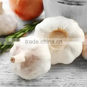 PURE GARLIC 2016 thumbnail-1