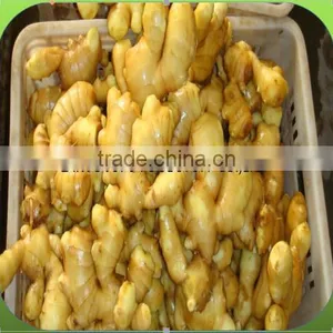 GINGER PRICE IN CHINA thumbnail-5