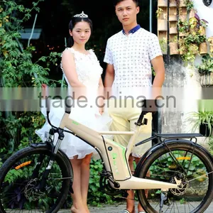 Flyer, 2015 New Design 800w Ce/en15194 Electric Bike thumbnail-5