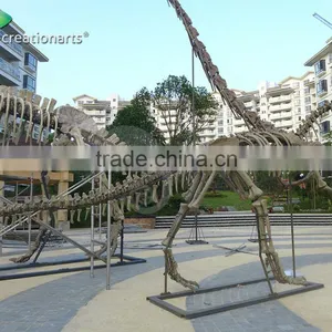 Outdoor Park Life Size Fiberglass Dinosaur Skeleton thumbnail-2