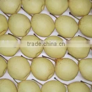 Supply Fresh Ya Pear With Good Quality for Sale thumbnail-4
