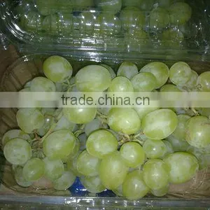 Thomson Grapes thumbnail-1