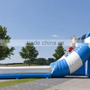 Color Customized Inflatable Water or Dry Slide / Special Design Inflatable Slide for Summer thumbnail-3