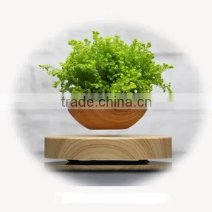 Small Plant Pot for Home Decoration thumbnail-3