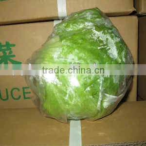 Pollution-free Fresh Lettuce thumbnail-1