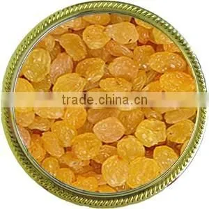 INDIAN ORIGIN QUALITY SEEDLESS GOLDEN RAISIN thumbnail-1