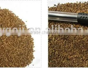 New Arrived Black Goji Berry Seeds Growing Plant thumbnail-1