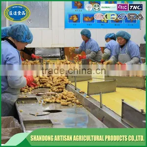 Fresh Ginger Price in China thumbnail-5