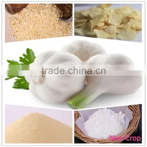 Factory Supplier China Garlic Price thumbnail-1