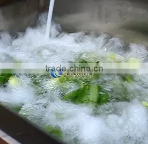 WA-2000 Commercial and Electric Type Fruits and Vegetable Washing Cleaning Machine With Rotating Drum thumbnail-3