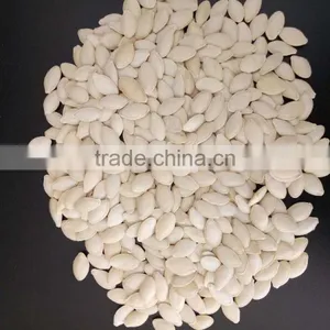 Export Shine Skin Pumpkin Seeds 2015 New Crop thumbnail-5