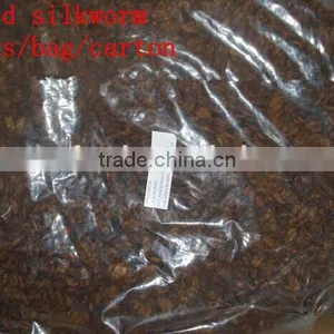 Dried Silkworm Fish Food thumbnail-2