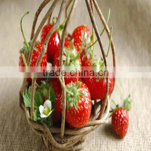 Plant Growth Enhancer 20% Crystal Gibberellic Acid thumbnail-6