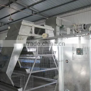 H Type 56 Chickens Broiler Chicken Cage Sale for Tanzania thumbnail-5