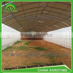 Poly Greenhouse for Agriculture thumbnail-3