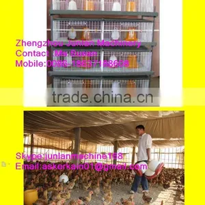 Chicken Feeders and Waterers for Chicken Duck Bird thumbnail-1
