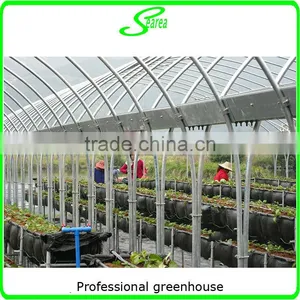 Multispan Tunnel Greenhouse for Flower thumbnail-2