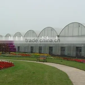 BLD Tunnel Greenhouse for Sale Simple Tunnel po Film Greenhouse thumbnail-3