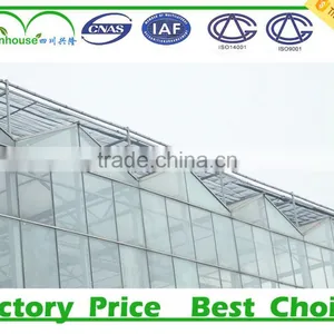 High Quality Polycarbonate Tunnel Greenhouse for Sale thumbnail-6