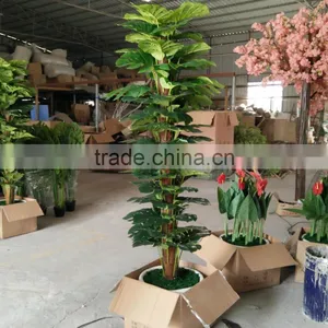 Decorative Artificial Plants Green Plants Wholesale thumbnail-1