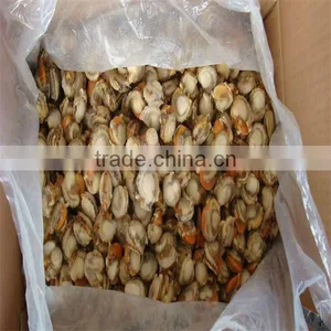Frozen Sea Scallop(100-120) thumbnail-1