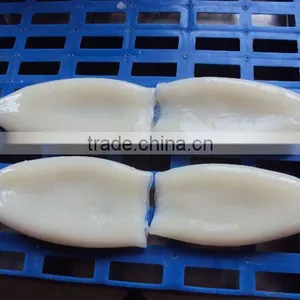 Frozen Todatodes Pacific Squid Tube thumbnail-2