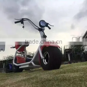 2017 Fashionable Factory Cheap Speeding Electric Bike 48v Fat Tire Scooter High Quality Citycoco thumbnail-3