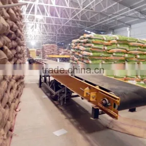 Best Indian Soyabean Seed thumbnail-2