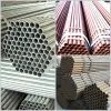 Tianjin Scaffold Steel Pipe/tube thumbnail-3