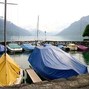 Pool Cover PE Cover Canopy Cover Boatcover Pop-upbag thumbnail-3