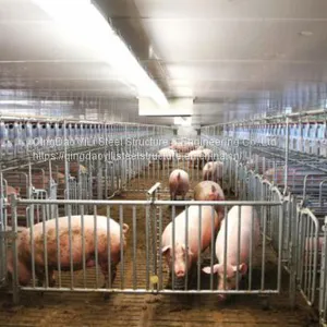 Low Cost Pig Farm House Building Construction Professional Design for Pig House thumbnail-5