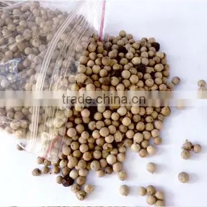 Organic White Pepper for Good Health thumbnail-1