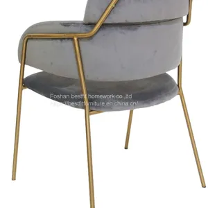 XC218 Whole Sell Price Stainless Steel Dining Chair Modern Design thumbnail-5