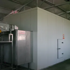 Besy Price Quick Freezing Machine for Industrial Processing Line Fruit and Vegetable Freezing thumbnail-2